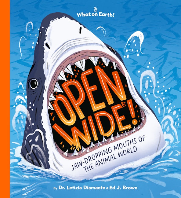 Book cover image for Open Wide! ISBN: 9781804661369